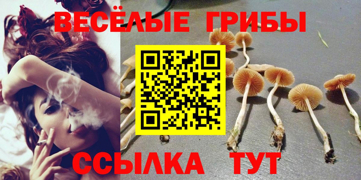Псилоцибиновые грибы Magic Shrooms Юрга