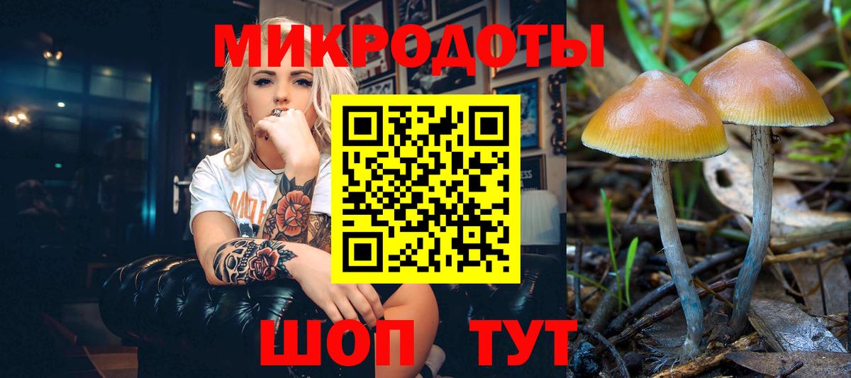 Юрга  где купить наркотик  Вход с VPN  Псилоцибиновые грибы Cubensis 